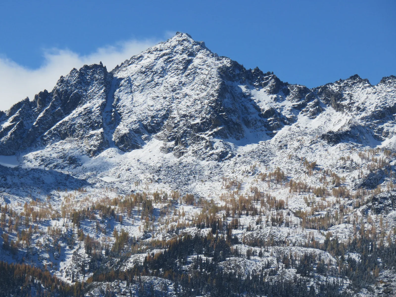 Rocky mountain peaks rising above autumn forest